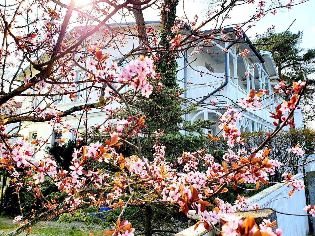 Villa Asta 빈츠 외부 사진