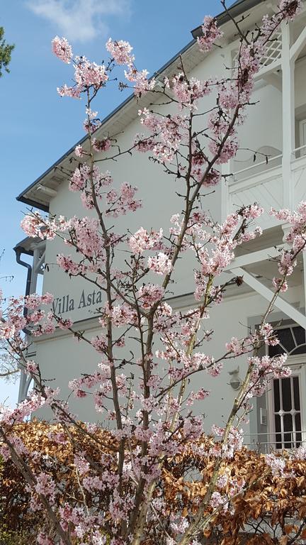 Villa Asta 빈츠 외부 사진
